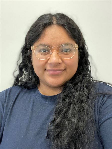 Castillo Mobile Services