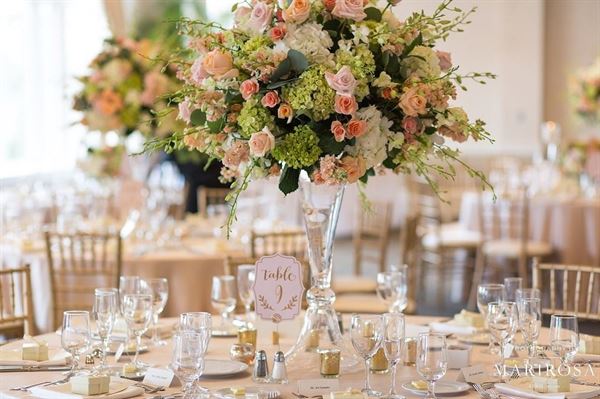 Springfield Golf and Country Club