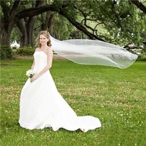 Melinda Mercer Photography