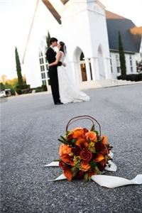 Melinda Mercer Photography