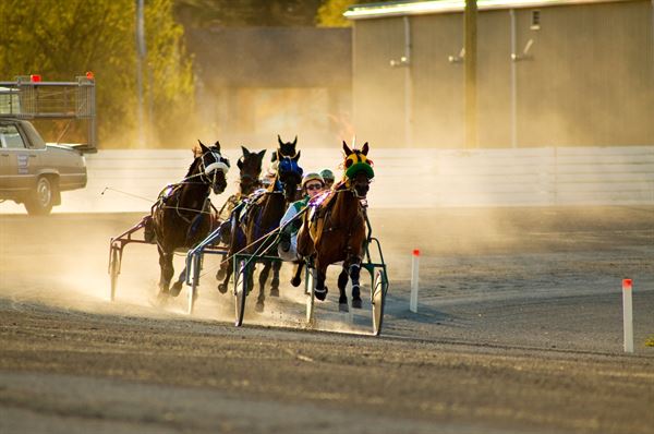 Elements Casino Surrey - Great Canadian Casinos