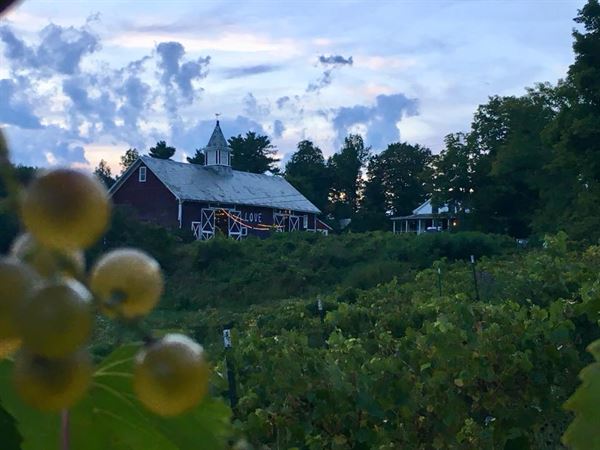 Whaleback Vineyard