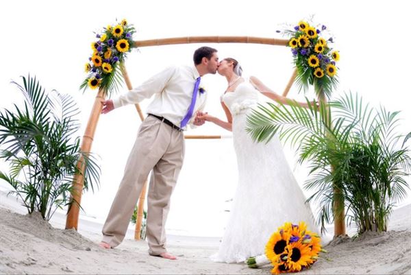 North Beach Plantation