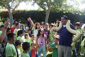 Paramount Pet Entertainment