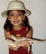 Paramount Pet Entertainment