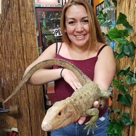 Paramount Pet Entertainment