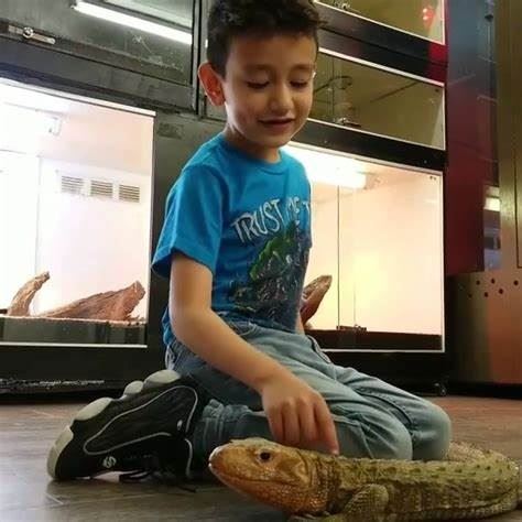 Paramount Pet Entertainment