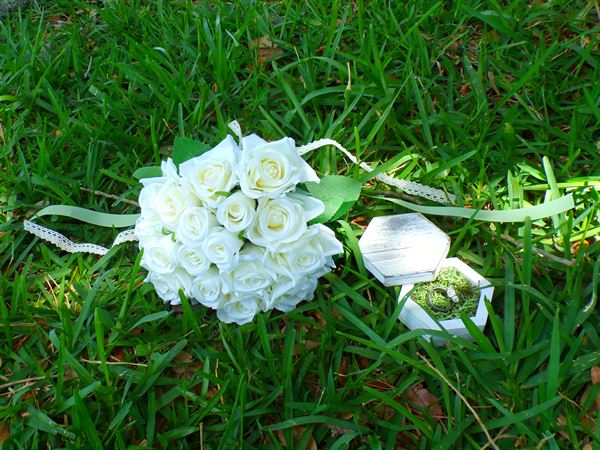 Tides of Love Beach Weddings