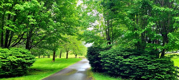 Taylor Mountain Ranch