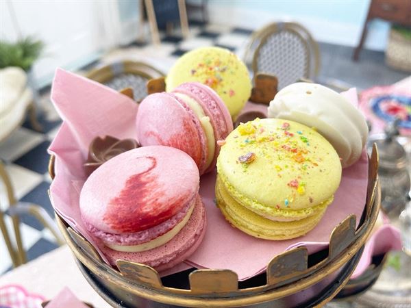 The Garden By Dorceys