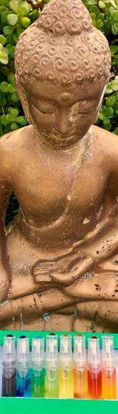 Aroma Readings with Shevah