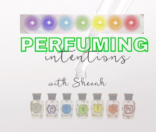 Aroma Readings with Shevah