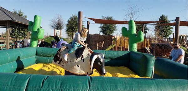 Anywhere Fun - Austin