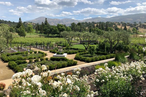 Shadybrook Estate Winery