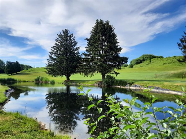 Drumlins Country Club