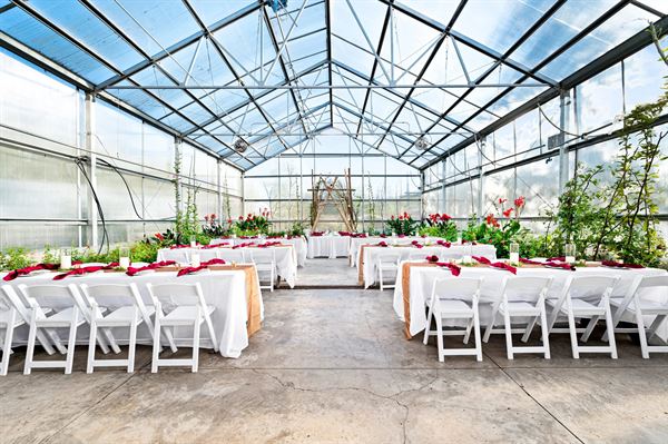 Sitio Weddings + Events