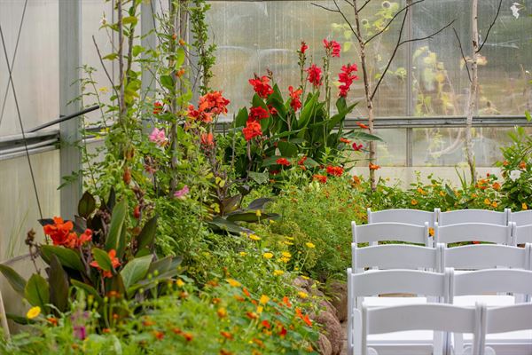 Sitio Weddings + Events