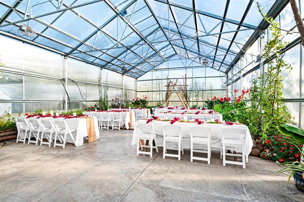 Sitio Weddings + Events