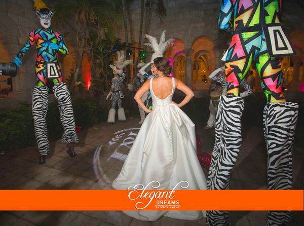 Elegant Dreams, Entertainment