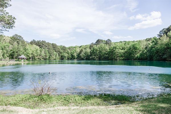 The White Barn at Padgett Place