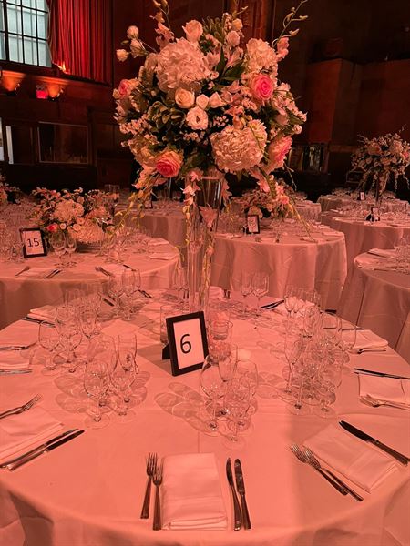 Indian DJ Boston, Chicago, Atlanta, Florida, Washington DC