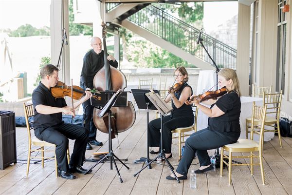 The Special Edition Band