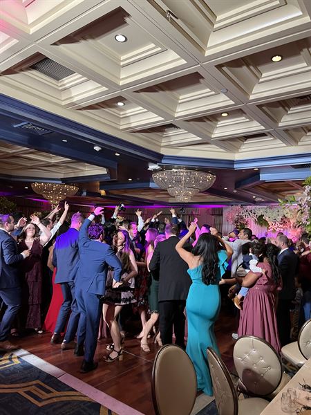 Indian Wedding Planner - The Wedding Elegance