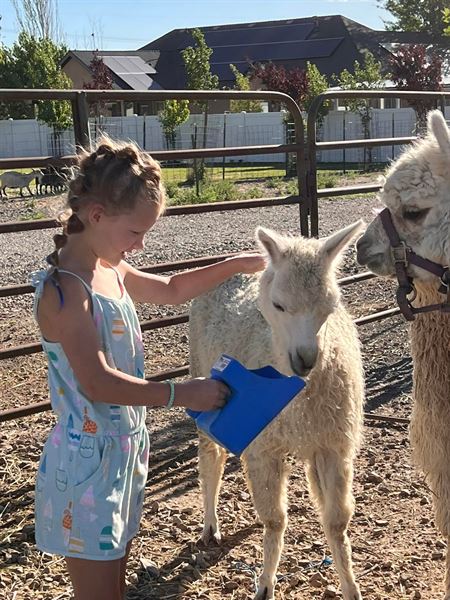 Kristy's Farmparties