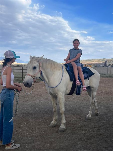 Kristy's Farmparties