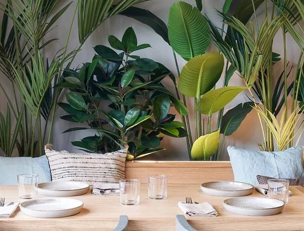 Telefèric Barcelona - Los Gatos