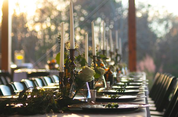 Terra Incognita Vineyard