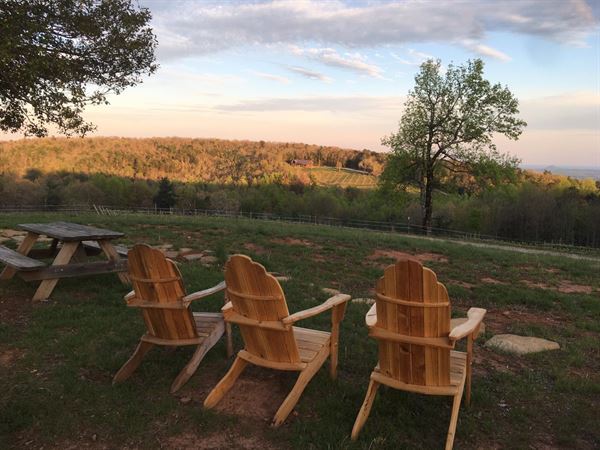 Terra Incognita Vineyard