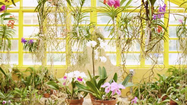 Four Seasons Hotel & Residence Fort Lauderdale