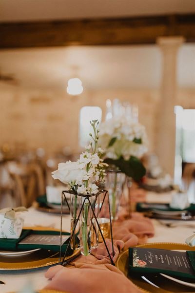 Tuscan Rose Vineyards