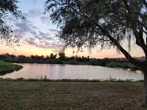 Mercedes Place of Sarasota