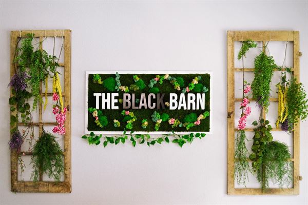 The Black Barn