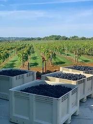 Lovers Leap Vineyards And Winery