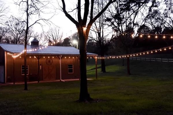 Collier Creek cabins
