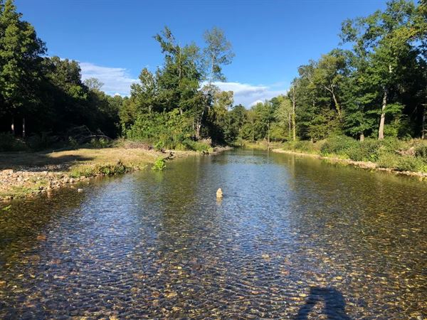 Collier Creek cabins