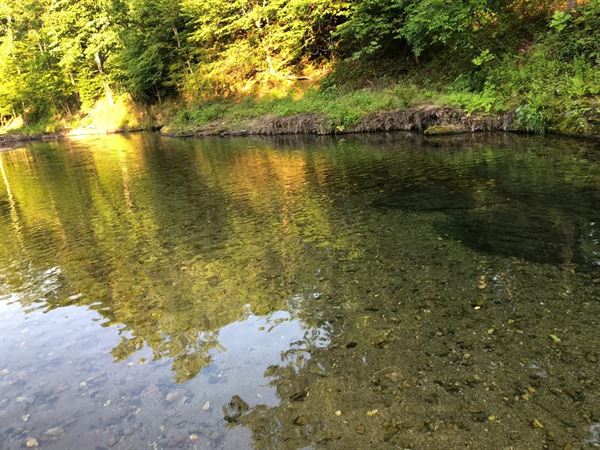 Collier Creek cabins
