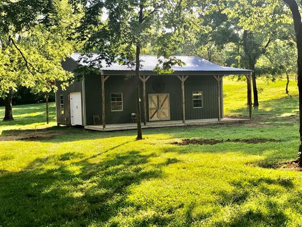 Collier Creek cabins