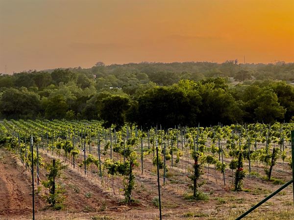 Carter Creek Winery Resort & Spa