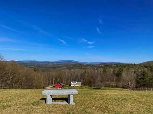 Montview Vineyard & Winery