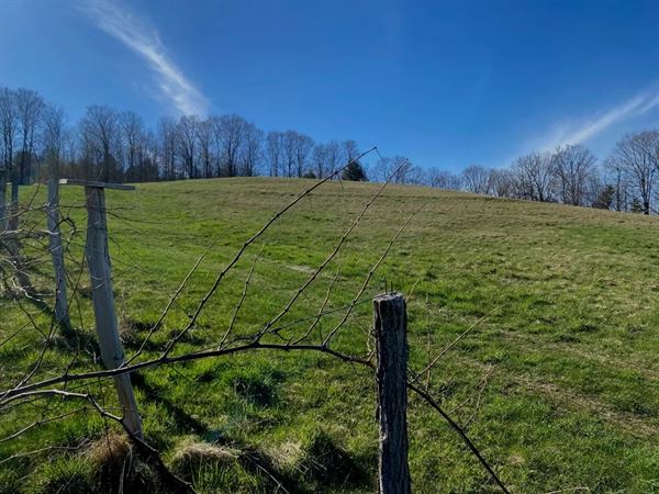 Montview Vineyard & Winery