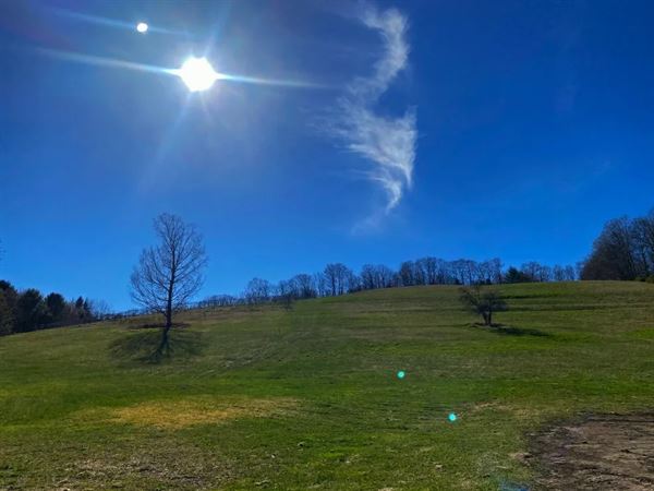 Montview Vineyard & Winery