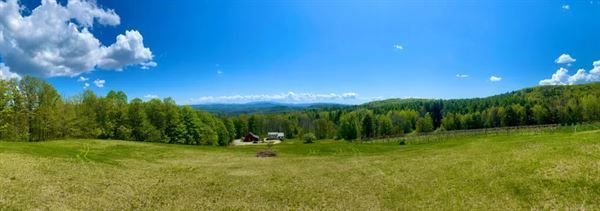 Montview Vineyard & Winery