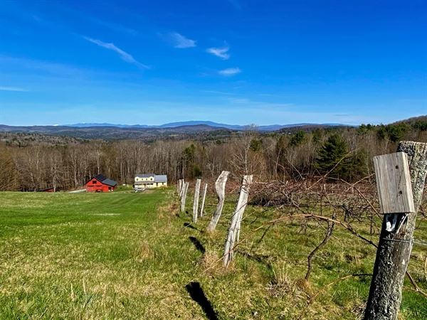 Montview Vineyard & Winery