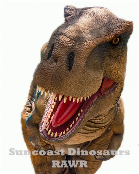 Suncoast Dinosaurs