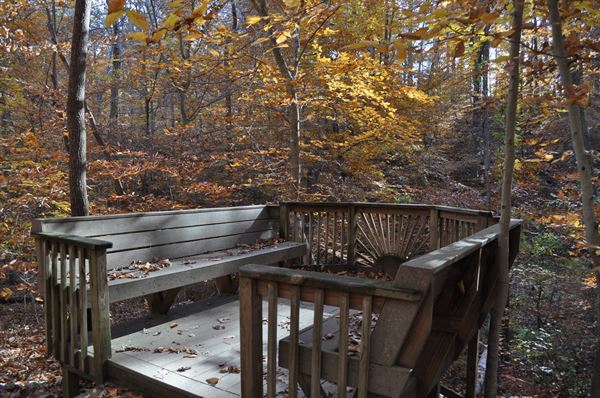 Forest Theatre at The University of North Carolina at Chapel Hill