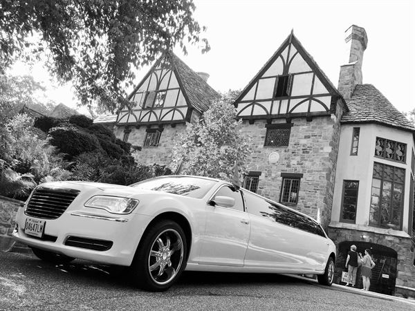 An Extraordinar Limousine